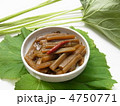 春の味覚　フキの煮物