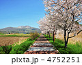 有珠山と桜並木