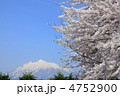 津軽富士「岩木山」と桜