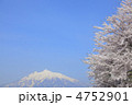 津軽富士「岩木山」と桜