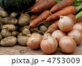 収穫した野菜