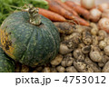 収穫した野菜