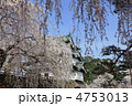枝垂桜と弘前城