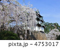 枝垂桜と弘前城