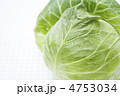 キャベツ
