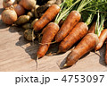 収穫した野菜