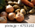 収穫した野菜