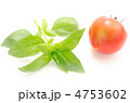 バジルとトマト