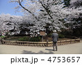 日本最古のソメイヨシノ 旅情編