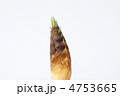 春の食材　_　竹の子