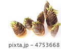 春の食材　_　竹の子