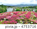 菅無田公園