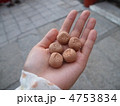 鵜戸神宮 運玉