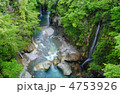 みどりの峡谷