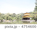 金閣寺と松の木