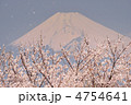 桜吹雪と富士山