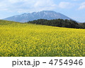 小岩井農場と菜の花