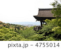 自然に囲まれた清水寺