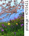 桜と花々の共演　王仁塚の桜