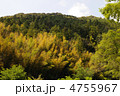 里山の緑