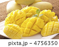 マンゴー マンゴー