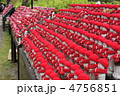 長谷寺の水子地蔵