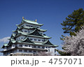桜の名古屋城