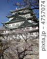 桜の名古屋城
