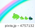 虹の下のカエル