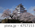 桜の鶴ヶ城(会津若松城)