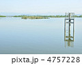 渡良瀬遊水地