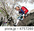 木登りの小学生