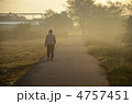 早朝の遊歩道