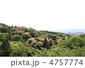 清水寺からの風景