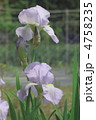 風薫る皐月の花景色