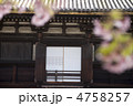 春の三十三間堂