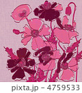 4759533