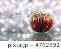 4762692