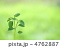 4762887