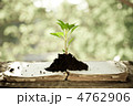 4762906