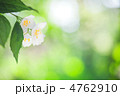 4762910