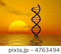4763494