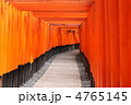 京都稲荷神社の千本鳥居