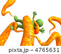 4765631