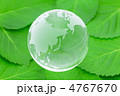 地球儀と緑の葉
