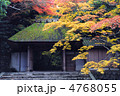 京都　秋の法然院