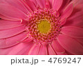 68456