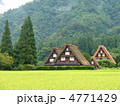 合掌造りの白川郷