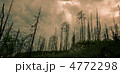 4772298