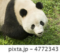 4772343